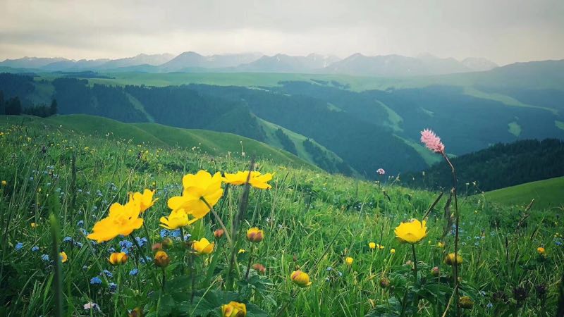 ΢ͼƬ_20180929182721.jpg